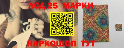 spice Владимир