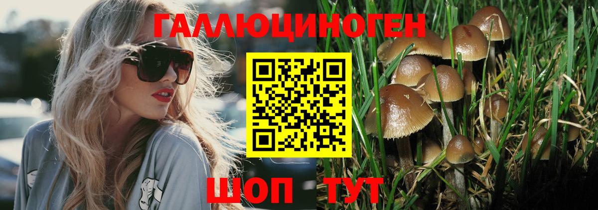 Галлюциногенные грибы мицелий Батайск