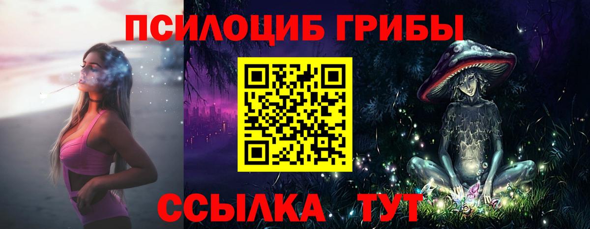 Псилоцибиновые грибы ЛСД  Вход с VPN  Псилоцибиновые грибы прущие грибы  Батайск 